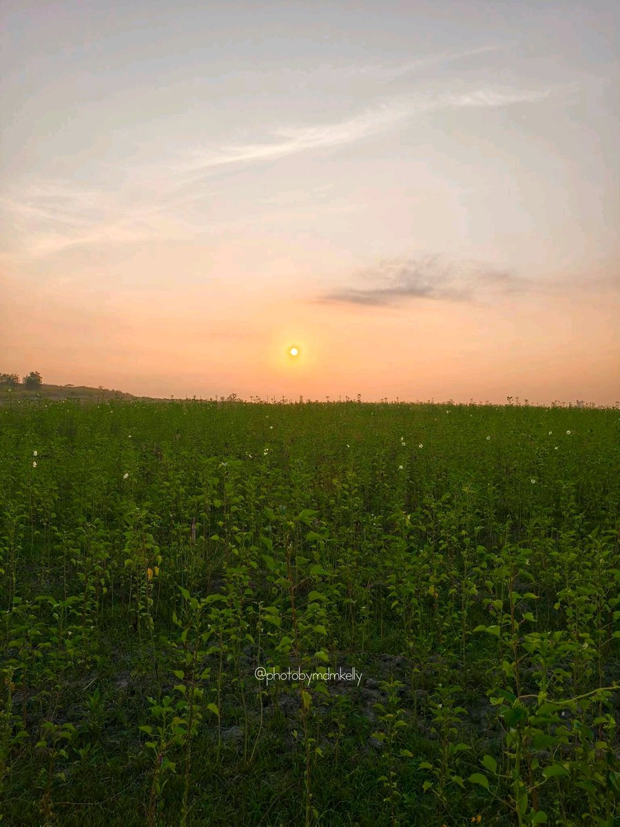 Perlis Permai tweet media