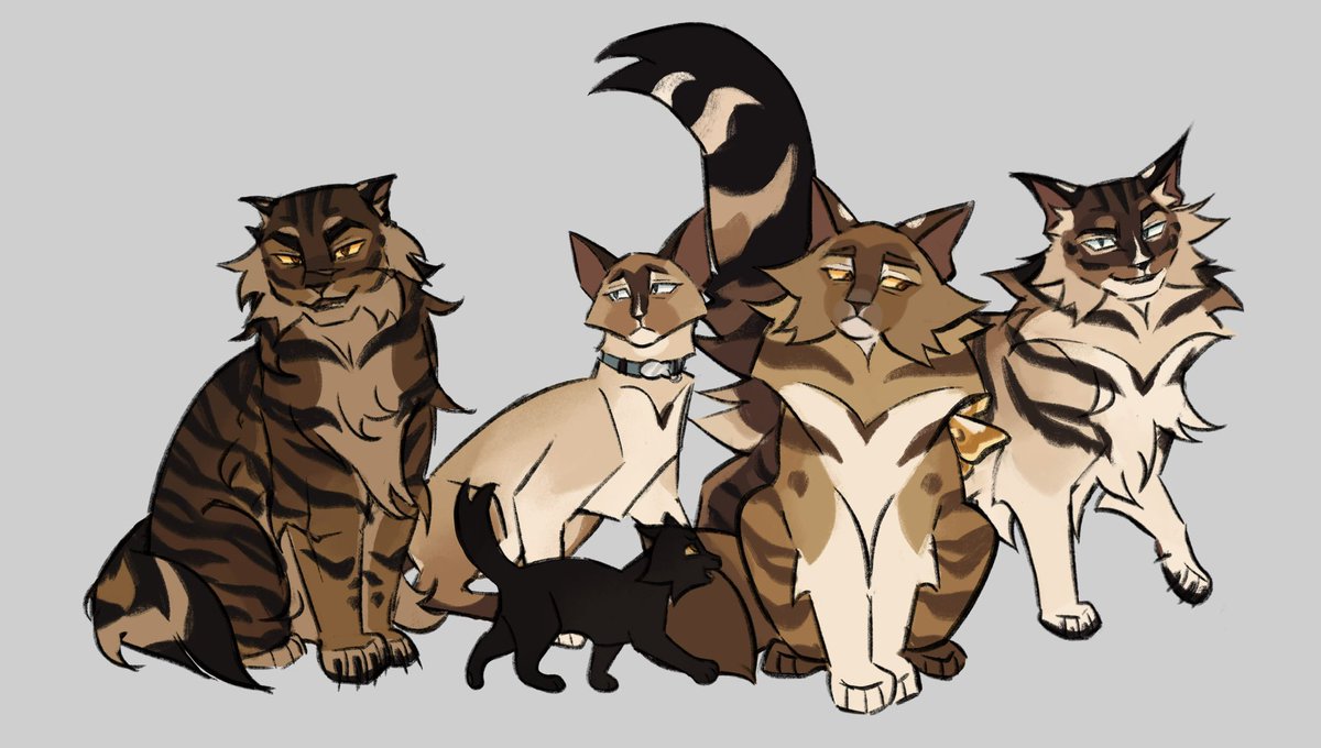 Sun 𖤓 tweet media