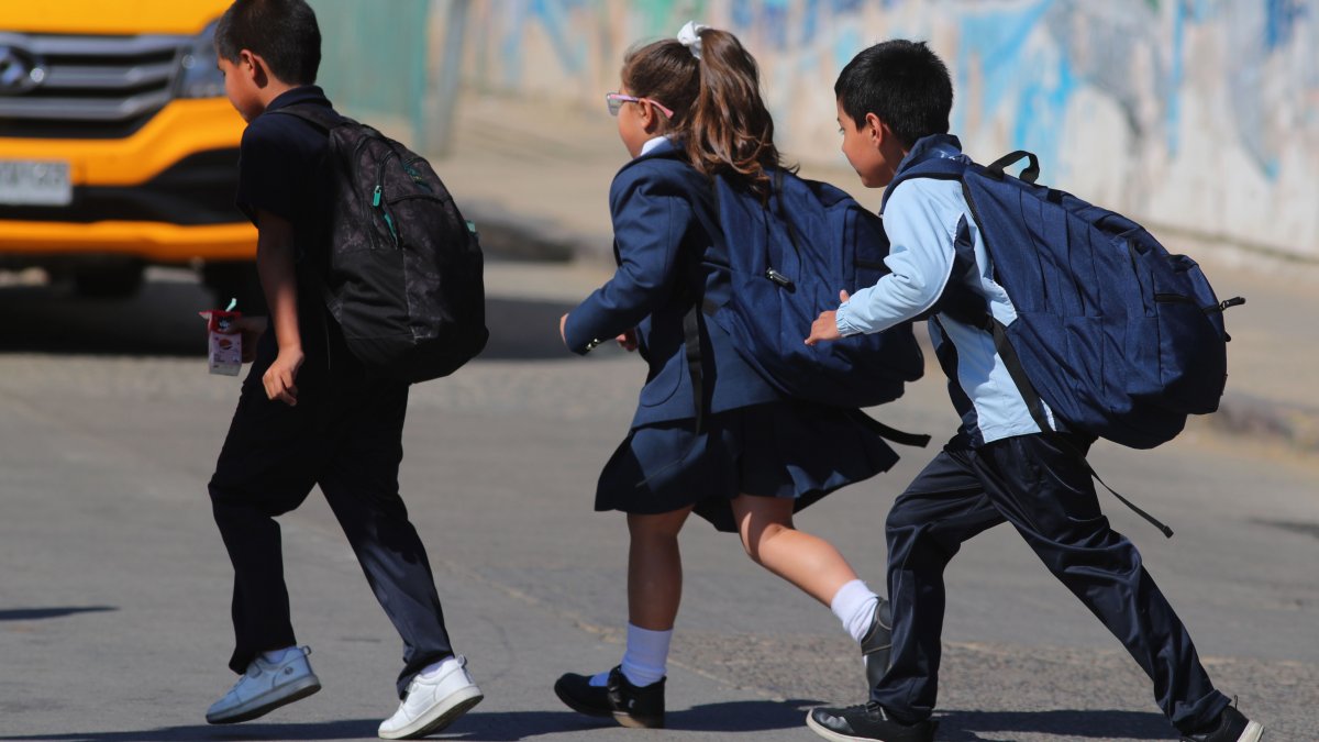 Cooperativa tweet media