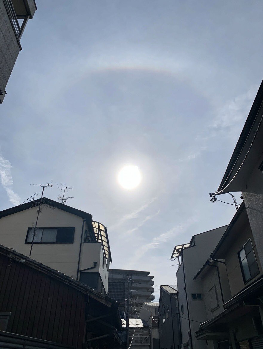 卯月の朝に浮かぶ太陽の虹🌈
朝活たけ散歩の贈り物
ハロー🖐️
#おはようございます 😌

#たけ散歩
#朝活
#卯月
#ハロ
#日暈