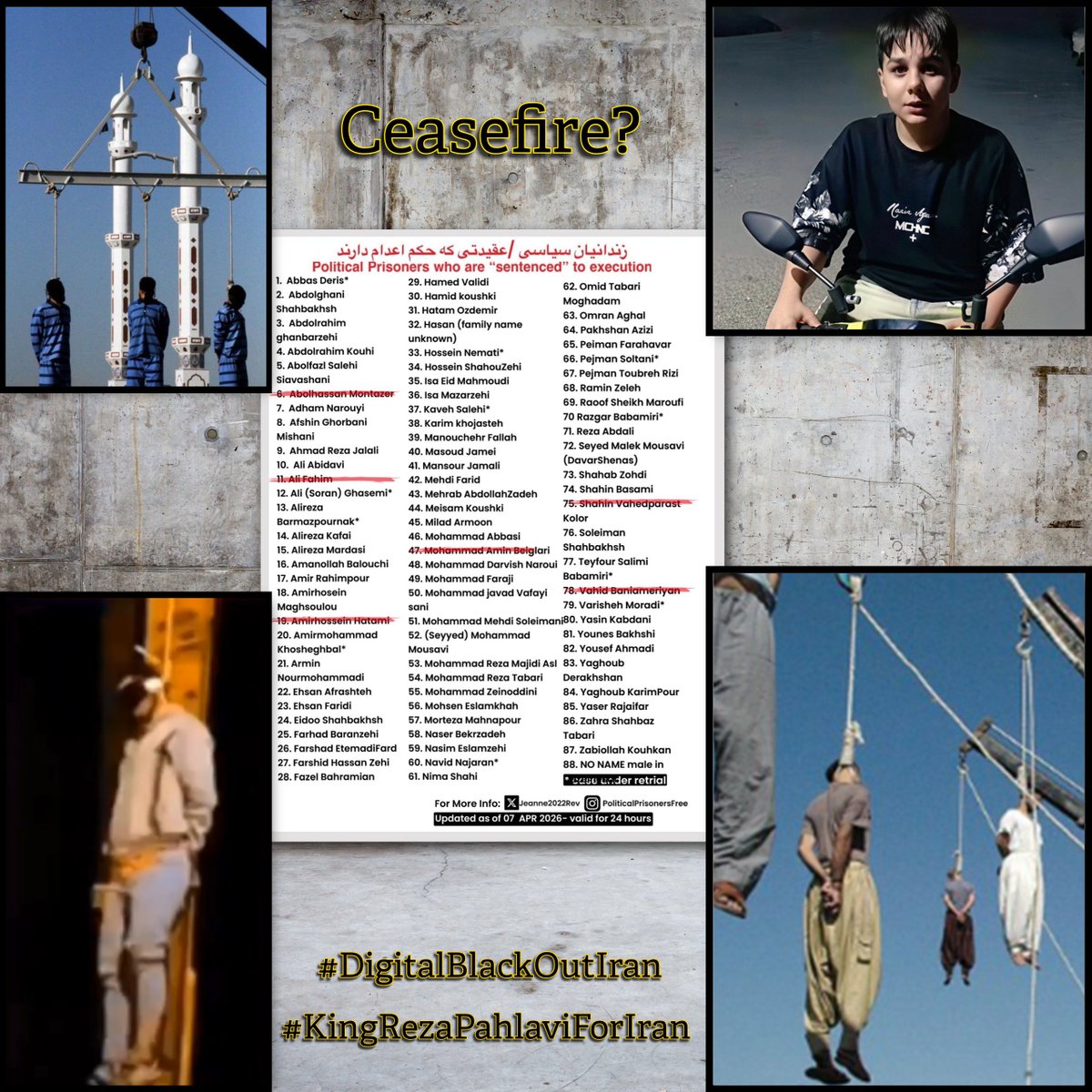 R. R. Halda, PhD tweet media