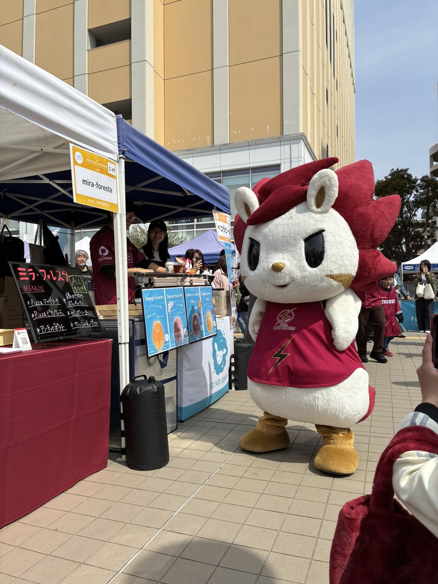 mira-foresta tweet media