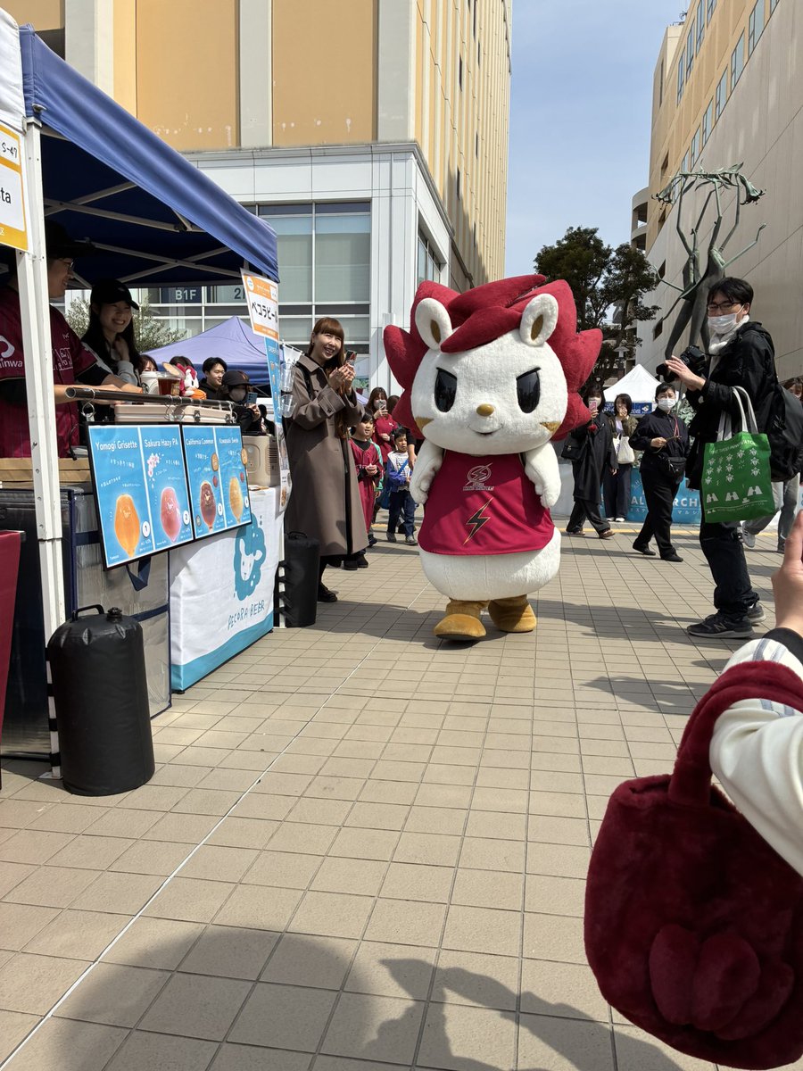 mira-foresta tweet media