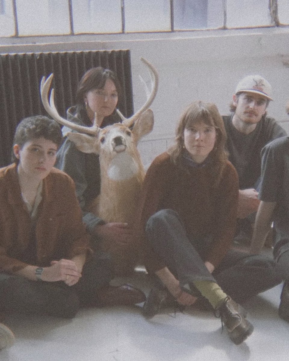 Vertigo Vinyl tweet media