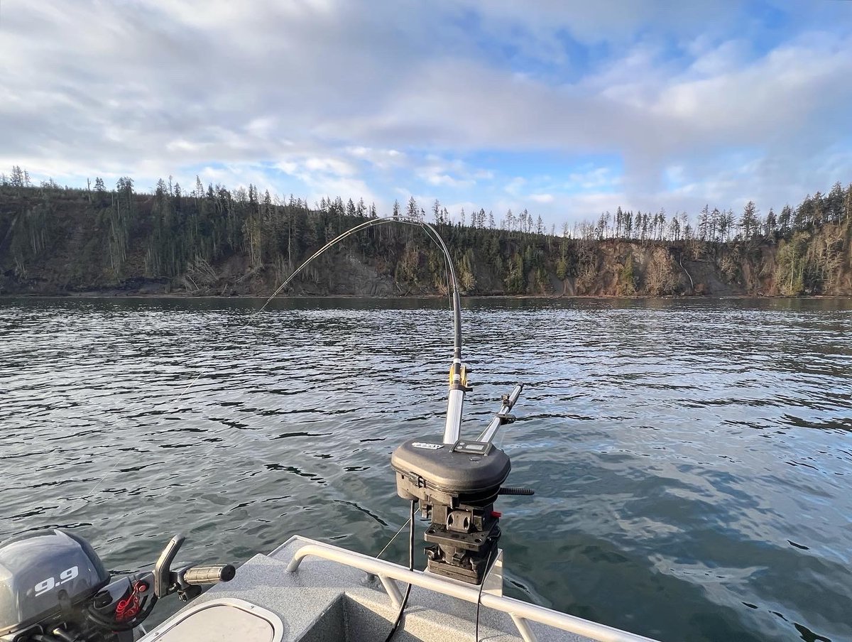 Washington Department of Fish & Wildlife tweet media