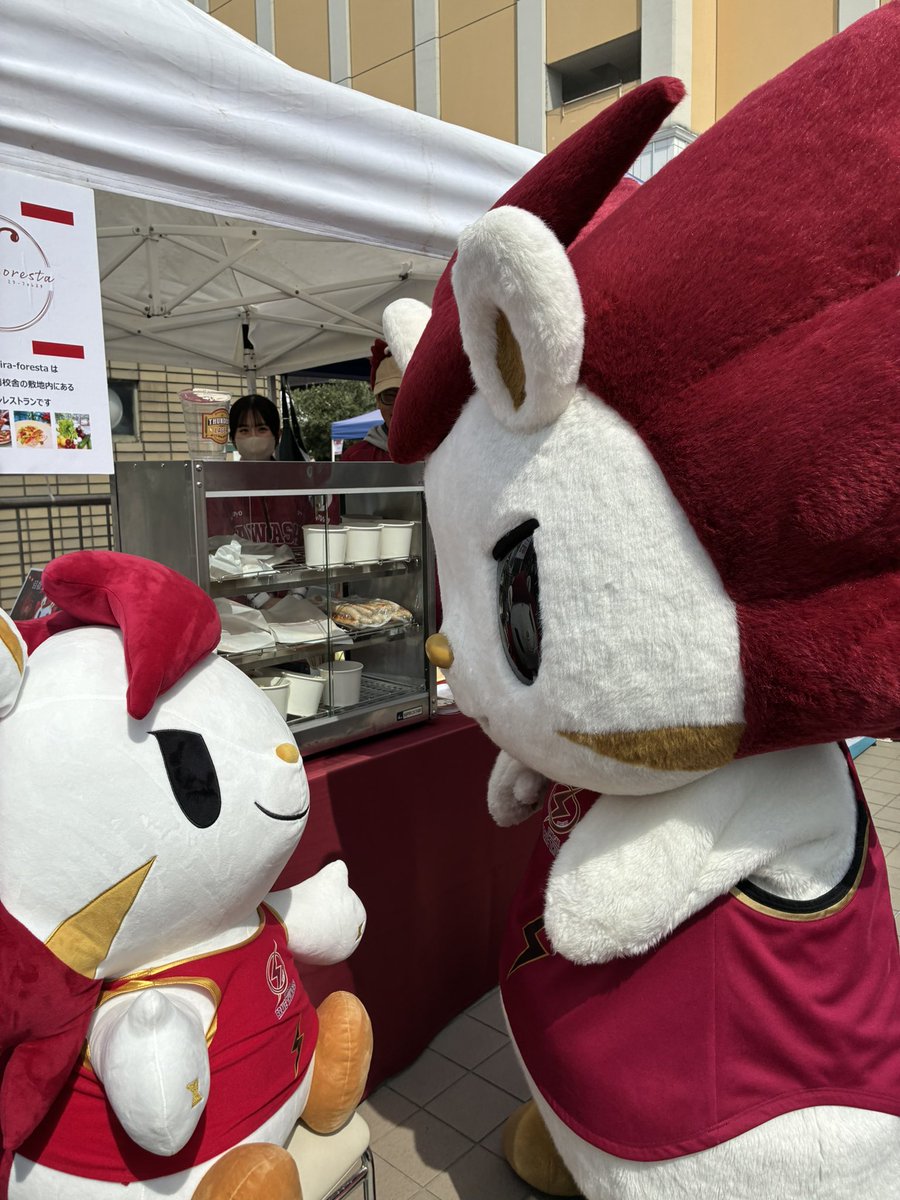 mira-foresta tweet media