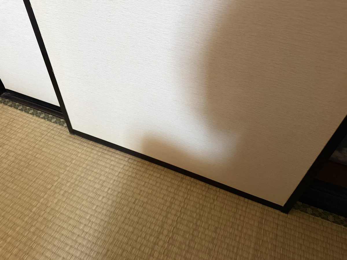 和菓子でポン！ tweet media