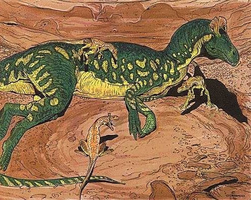 mi_g0o's tweet photo. @OakStreetGuy • Siats
• Rugops
• ampelosaurus
• cryolophosaurus https://t.co/dCwcImWOtB