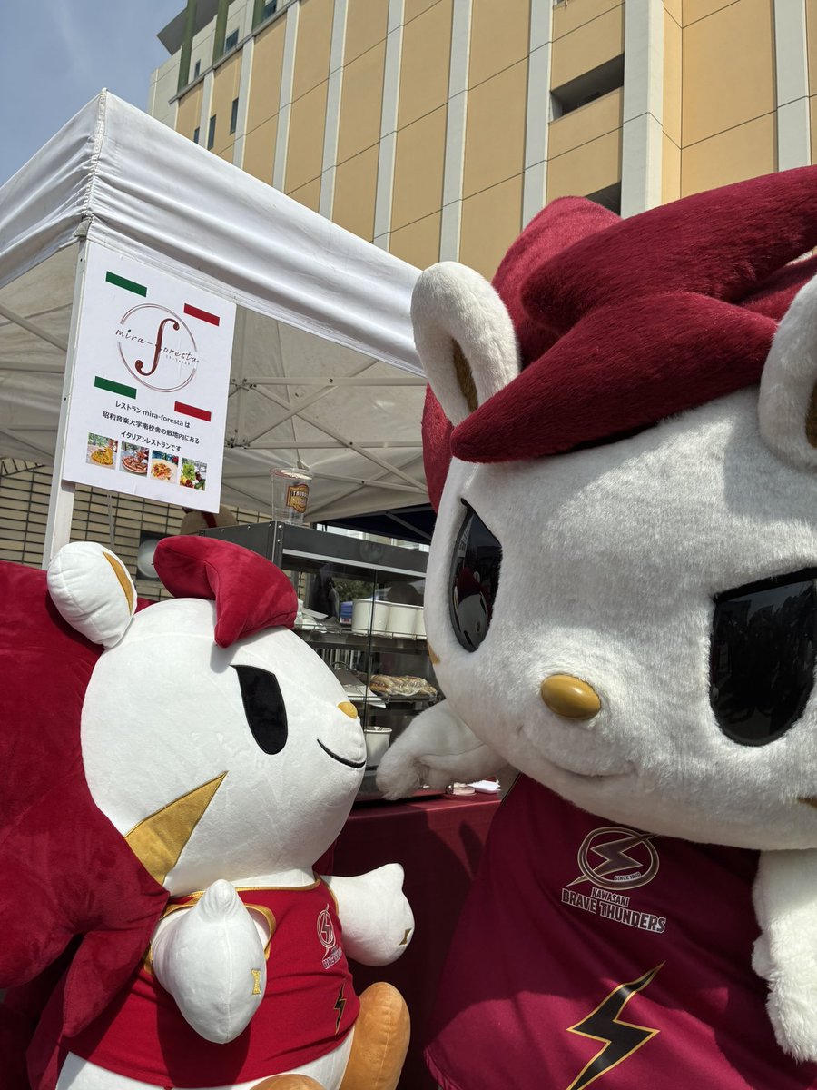 mira-foresta tweet media