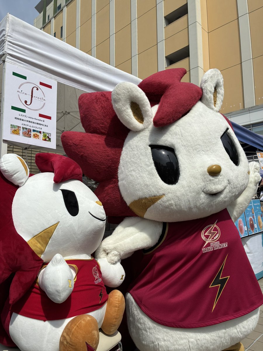 mira-foresta tweet media