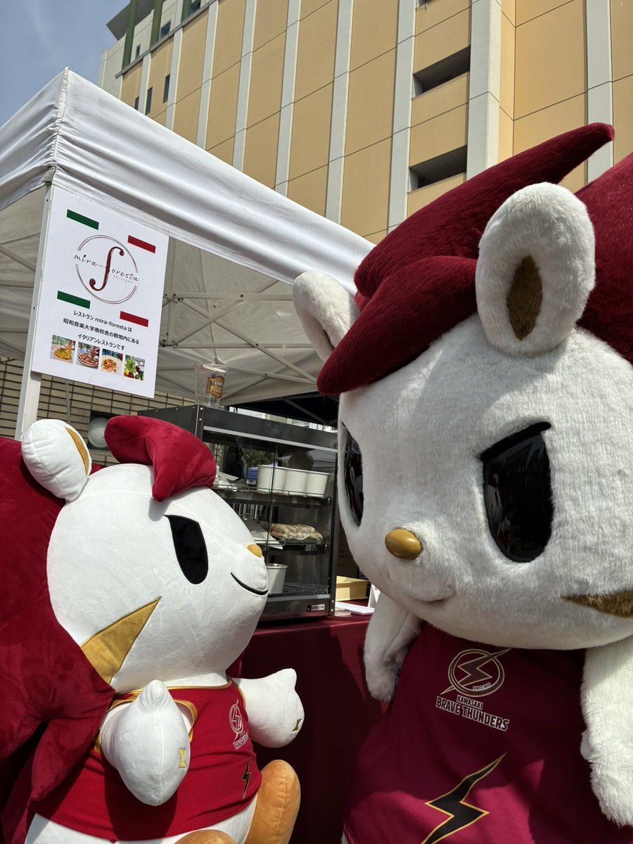 mira-foresta tweet media