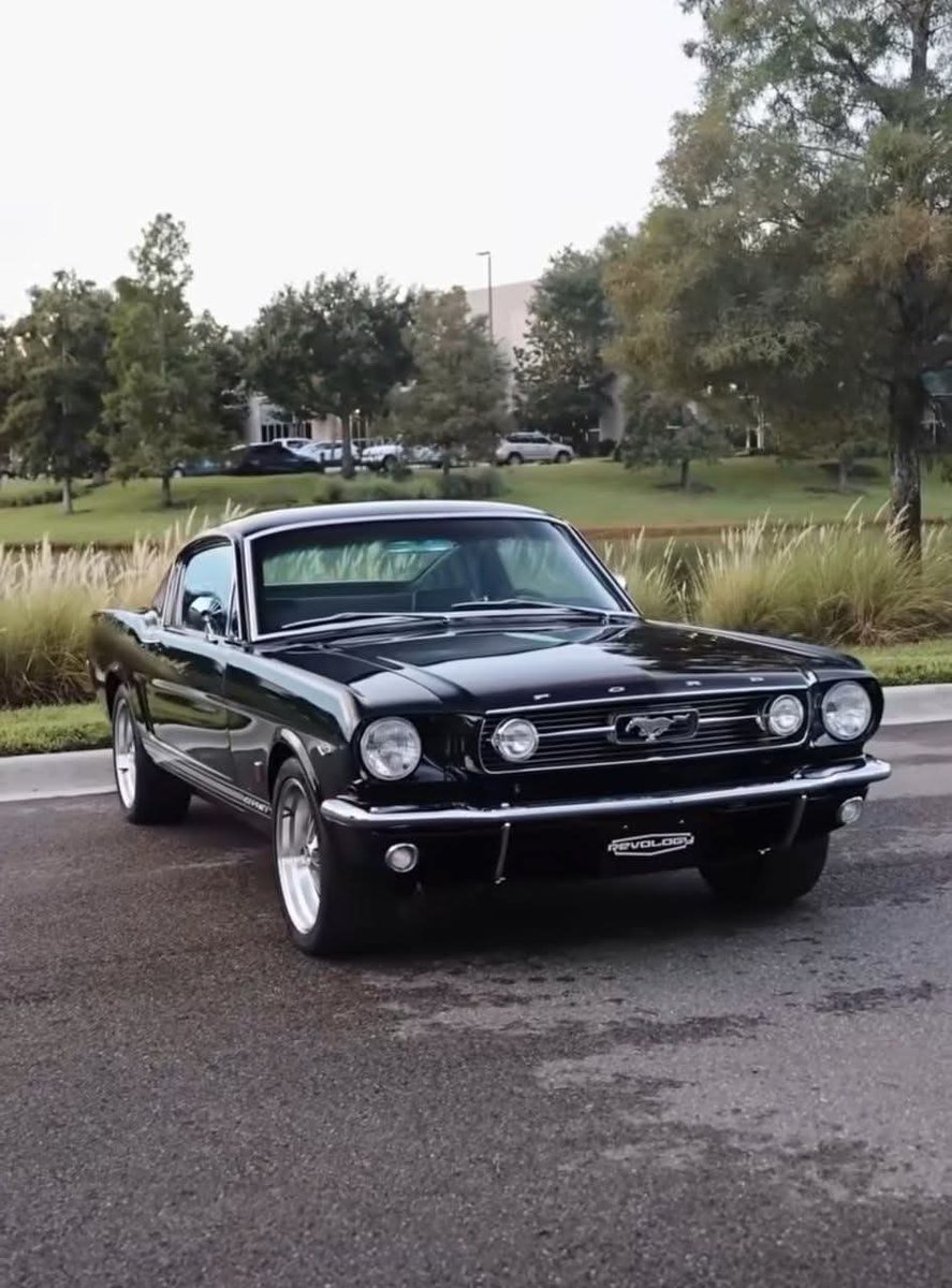 AlejandroJGarza's tweet image. 1966  Fastback GT 2+2
#FordMustang