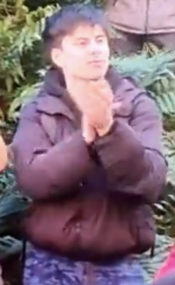 Torombolo tweet media