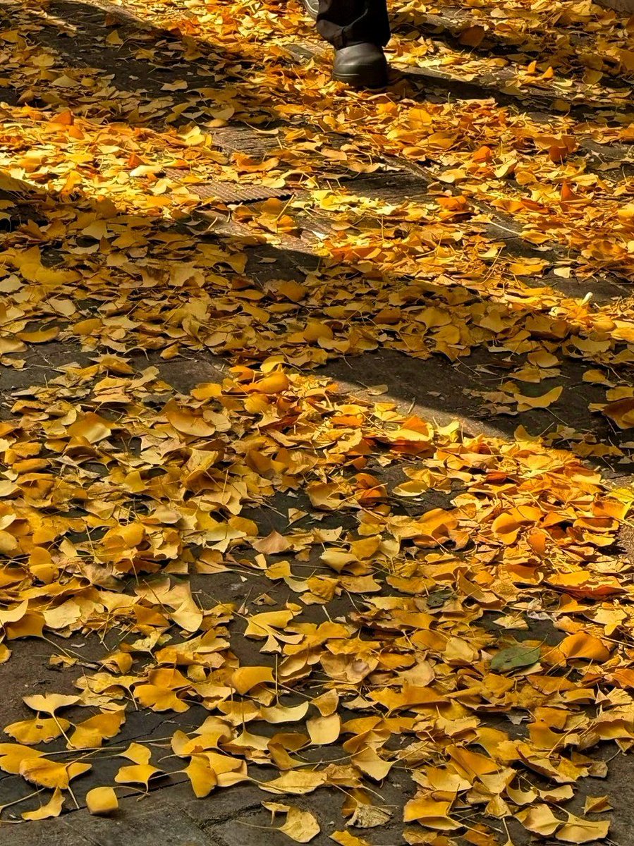 francesca tweet media