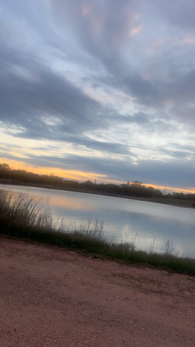 Rich Rose tweet media