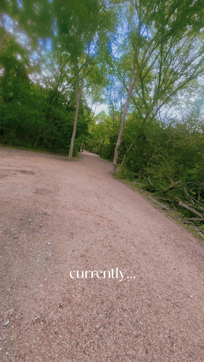 Rich Rose tweet media