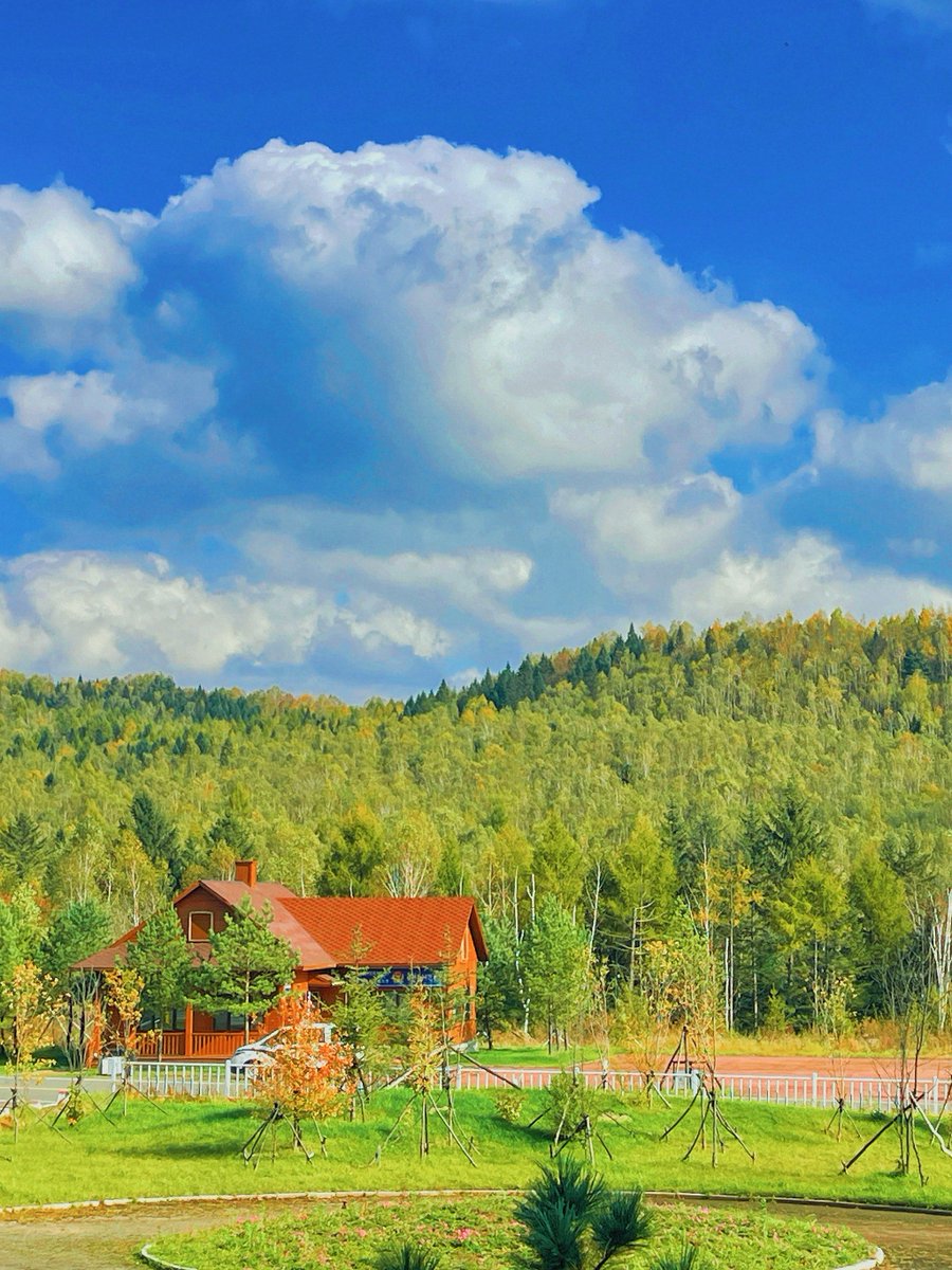 Gill Rulton tweet media