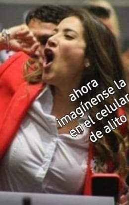 Alas Doradas. tweet media