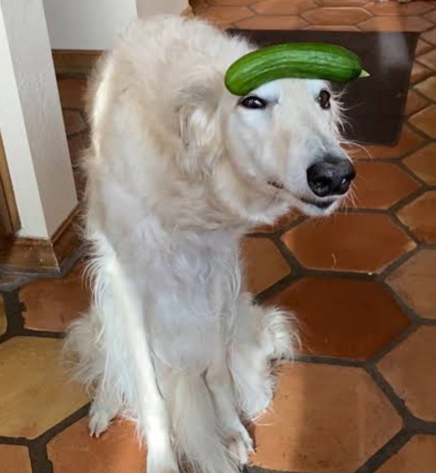 Galathion tweet media