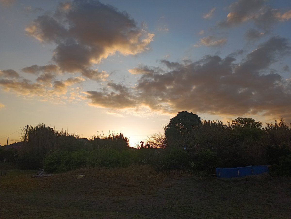 ラージュ tweet media