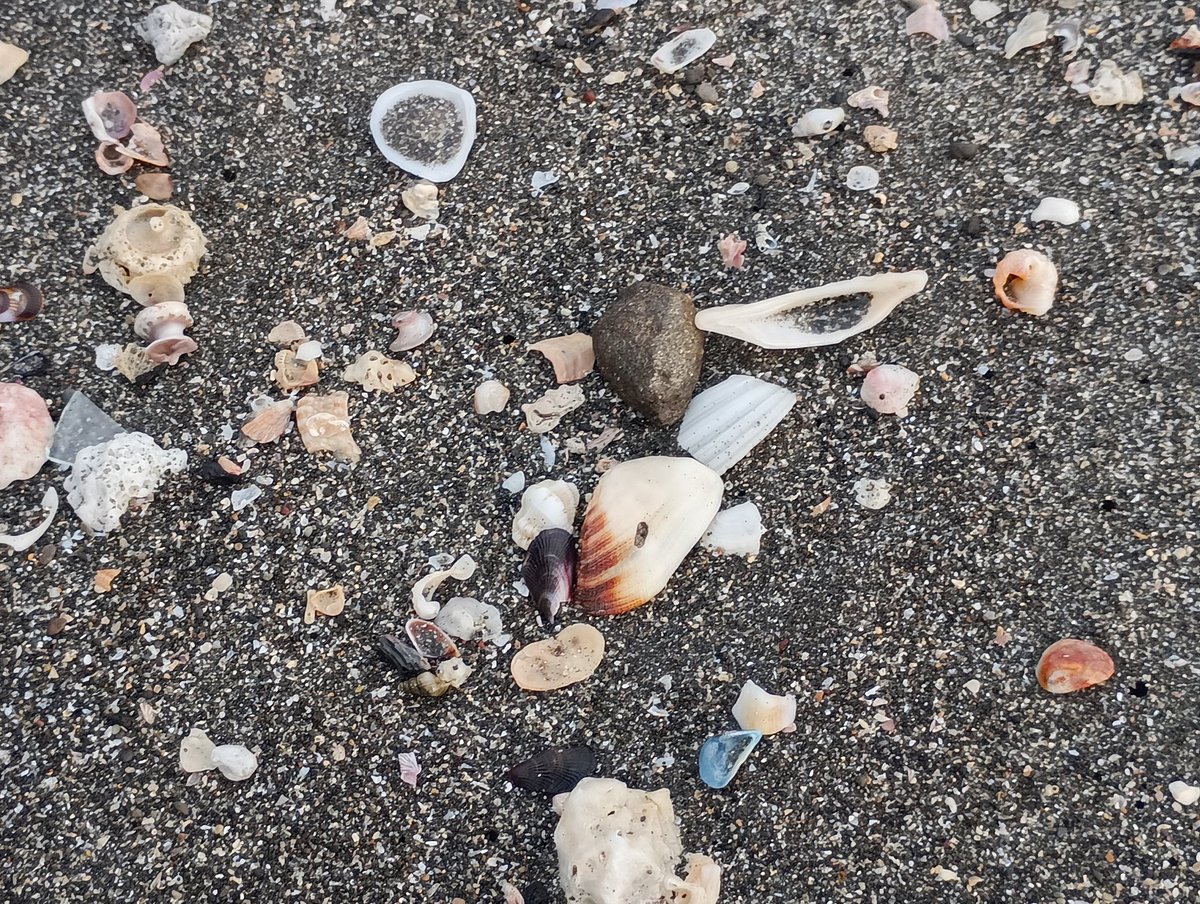 ラージュ tweet media