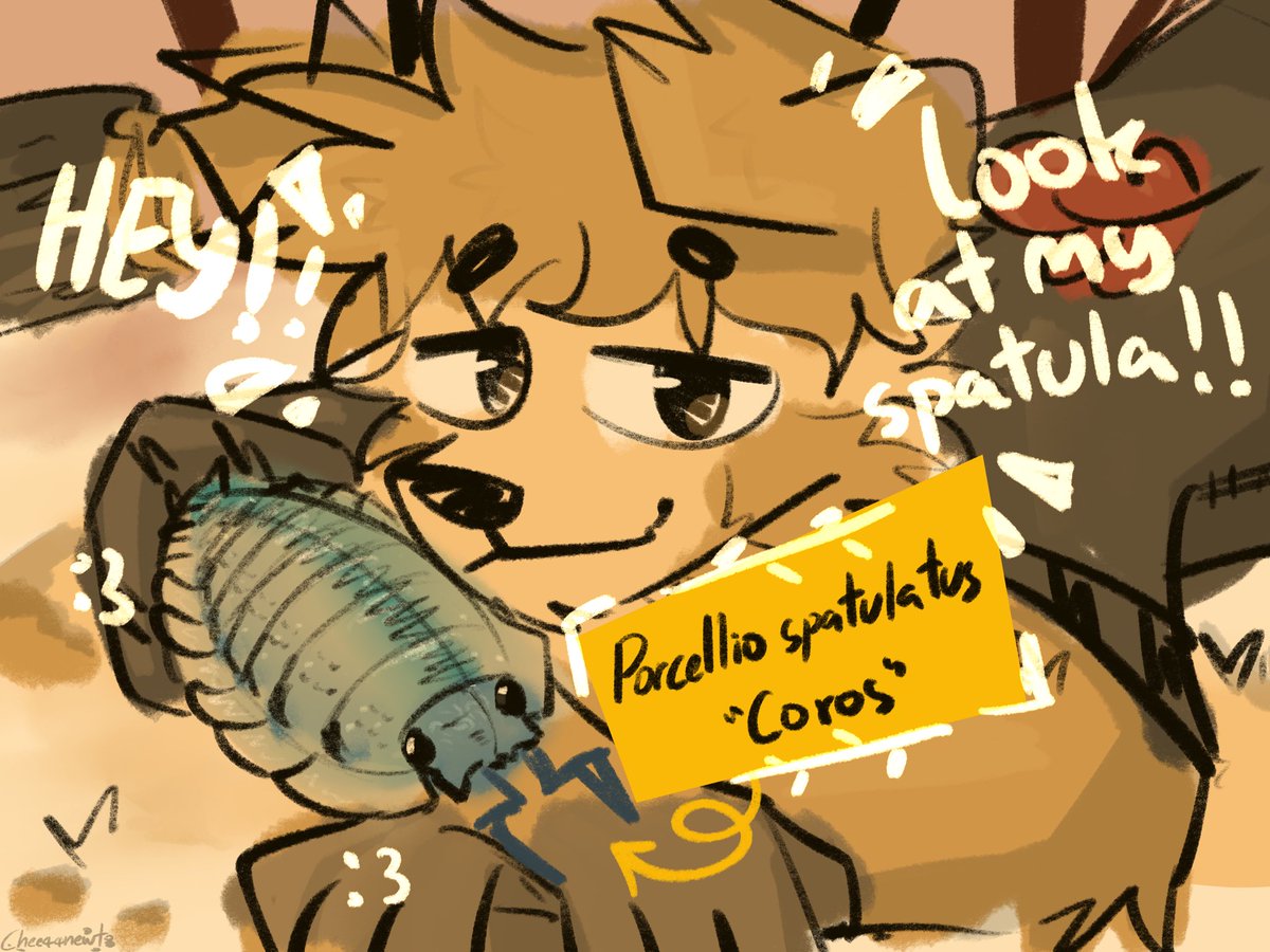 NewtTheCheezeboi🧀Comms still open!! tweet media