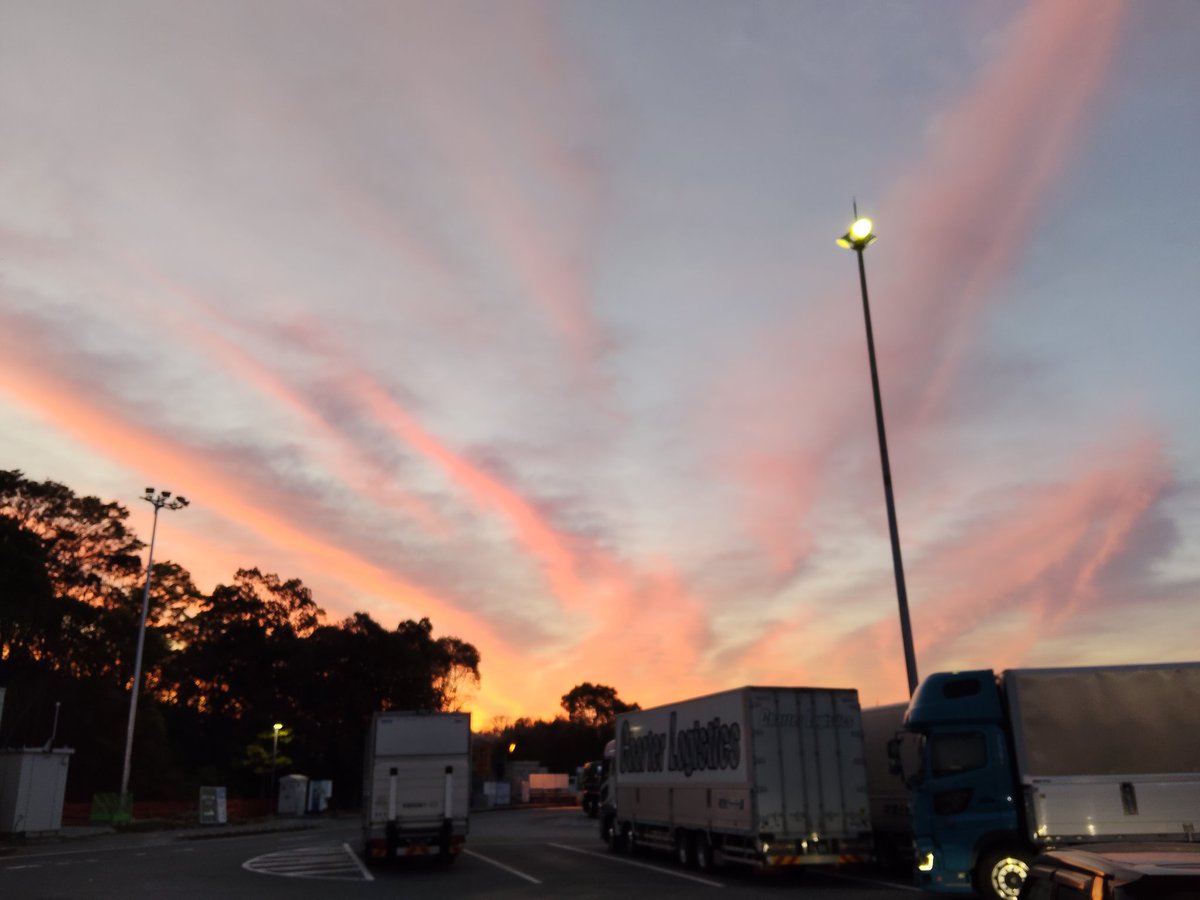 竹川 二葉 tweet media