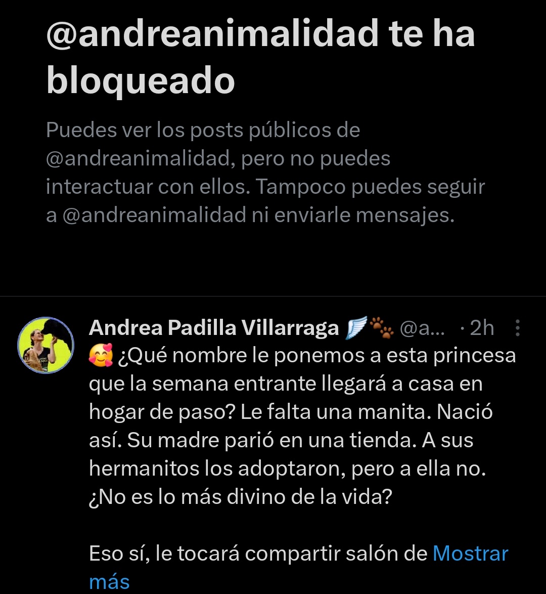 Laura Jiménez tweet media