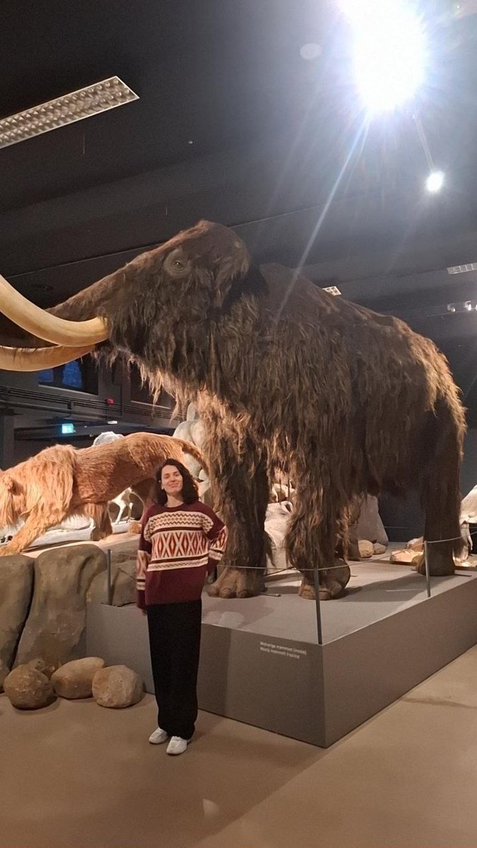 IES Monte Castelo tweet media