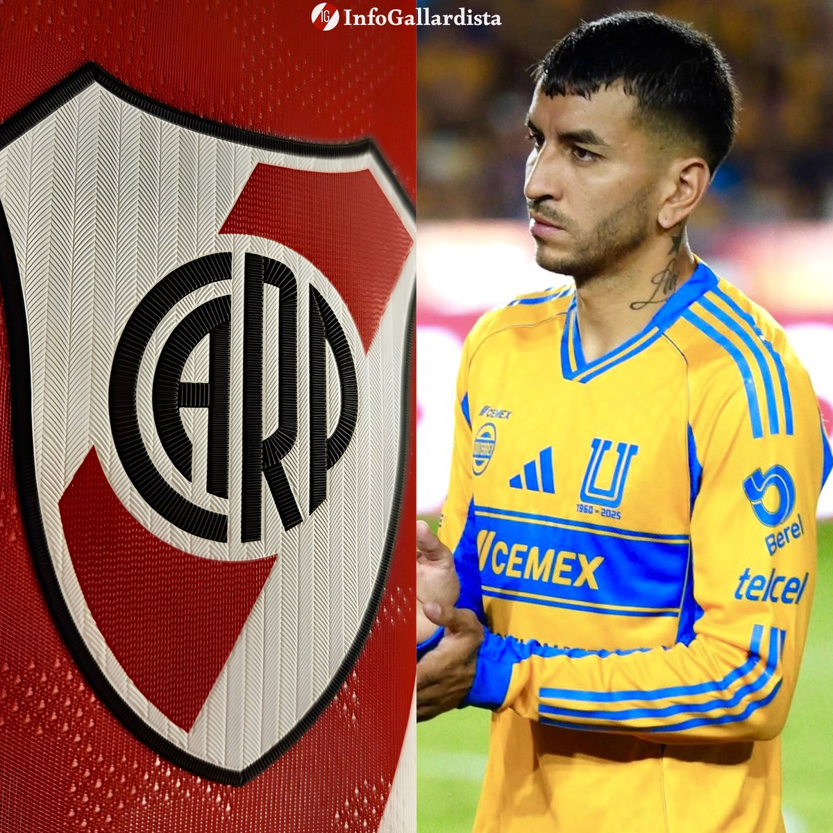 Info Gallardista tweet media