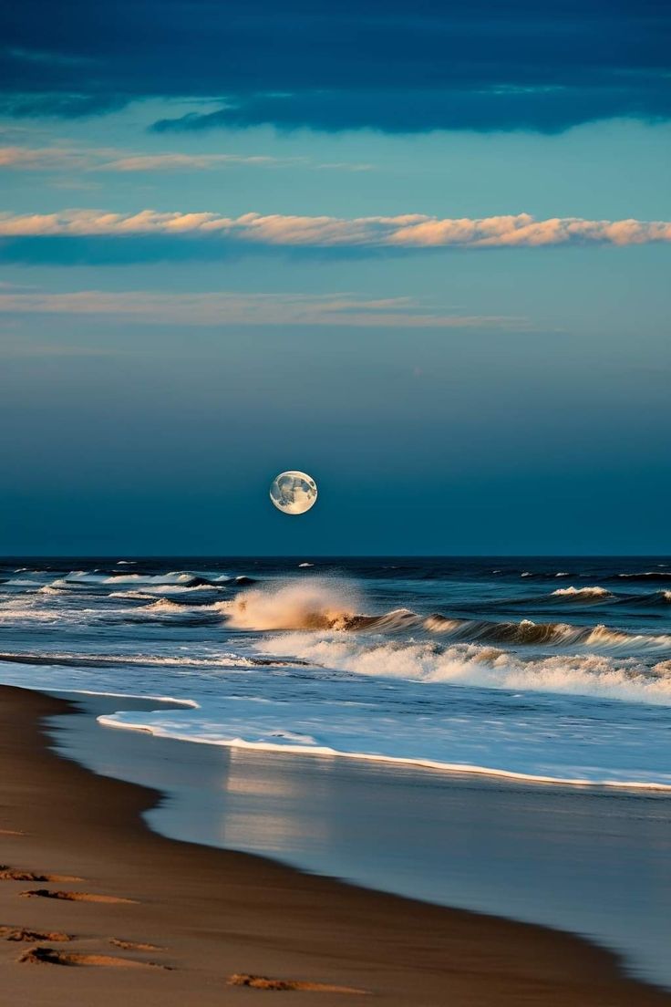 Ocean Amazing tweet media