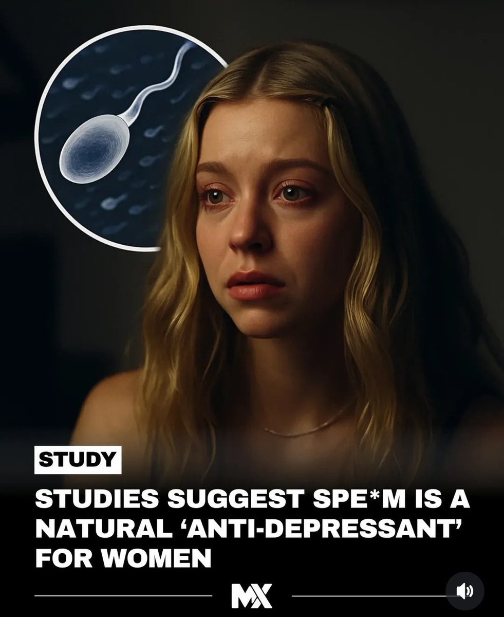 DeWolfen🏴󠁧󠁢󠁥󠁮󠁧󠁿 tweet media