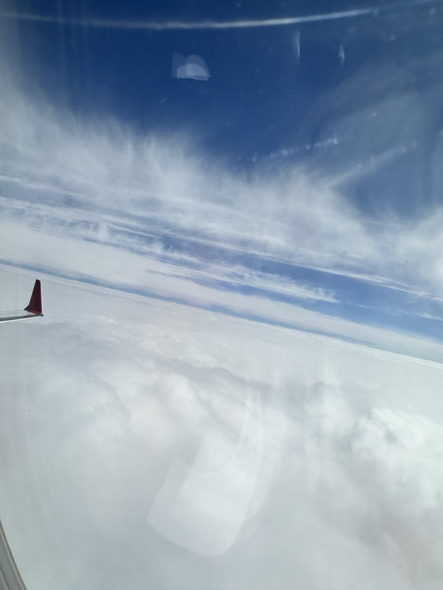 Liz Hoefsmit 🇮🇪🇾🇪🇪🇺🛫 tweet media