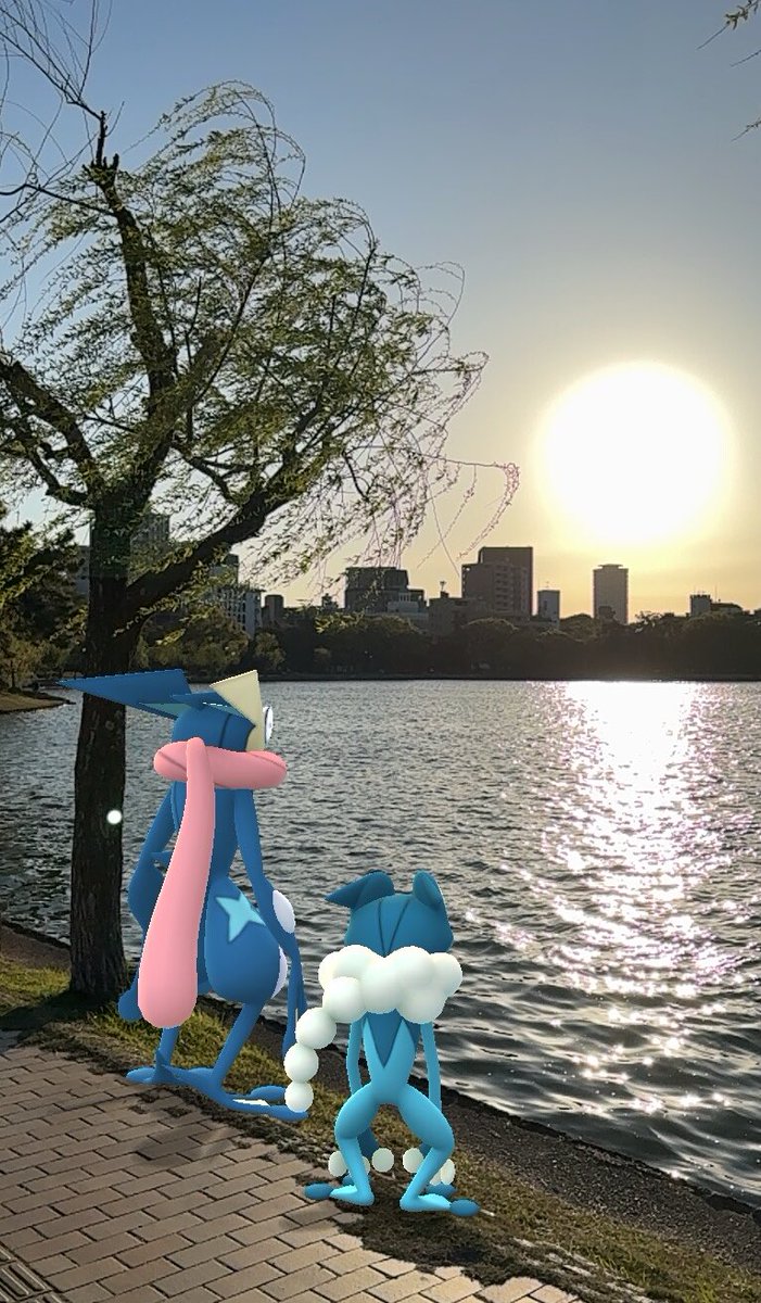 nao_clo_'s tweet image. #PokemonGoAR #GOsnapshot #ARofTheDay 
ゲッコウガ ゲコガシラ

鍛錬後の落日
語らいの時間　🌅