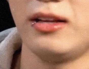 aaloo⁷🪭 tweet media