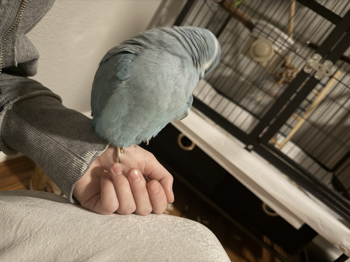 𝘈𝖭𝖦𝘌𝖫 tweet media