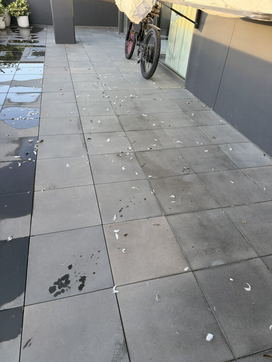 Dusty Pee tweet media