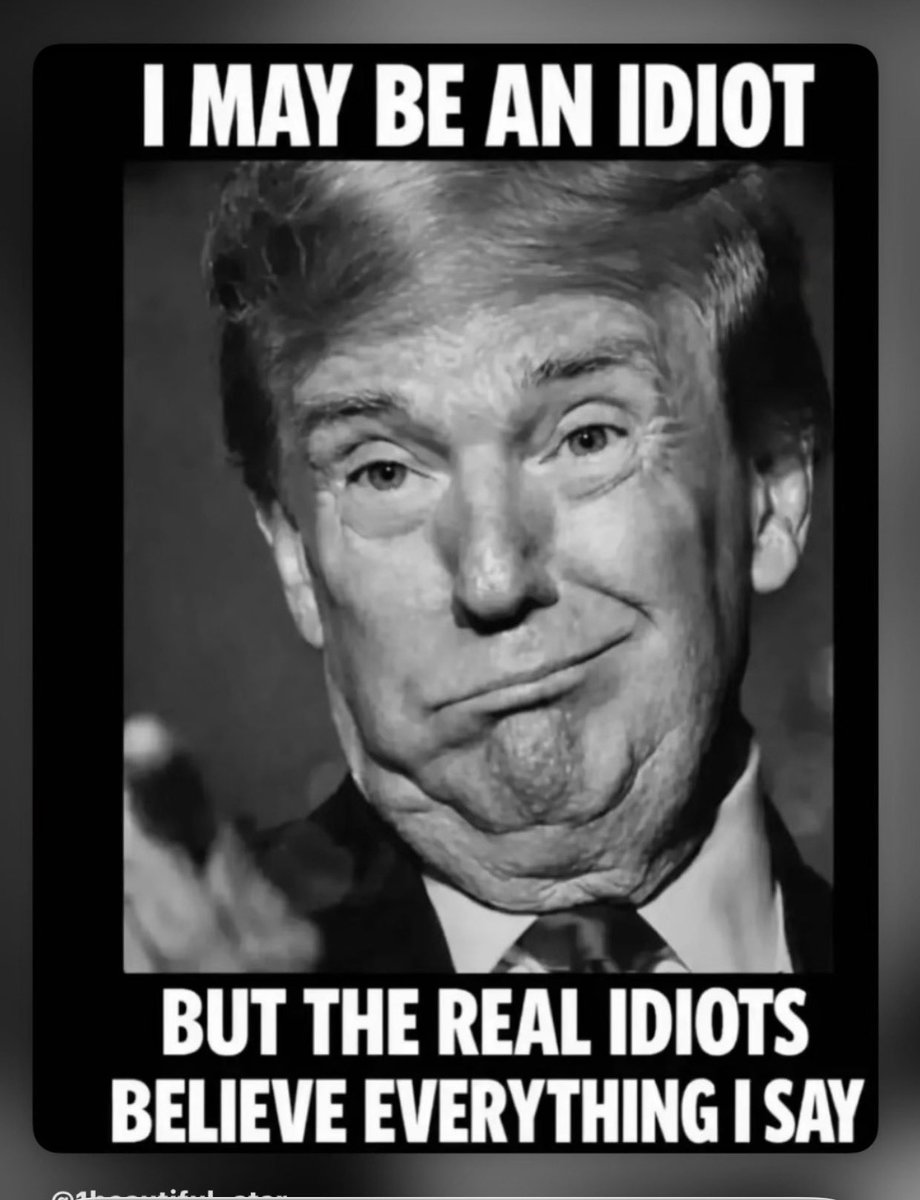 Vincent Trichilo tweet media