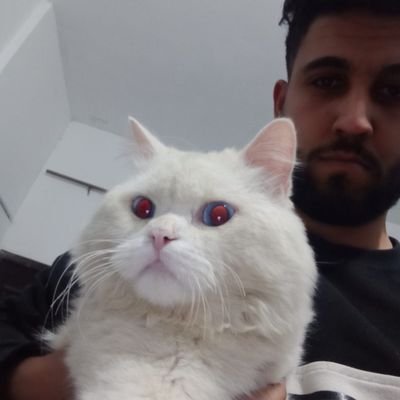 Olive 🌿 tweet media