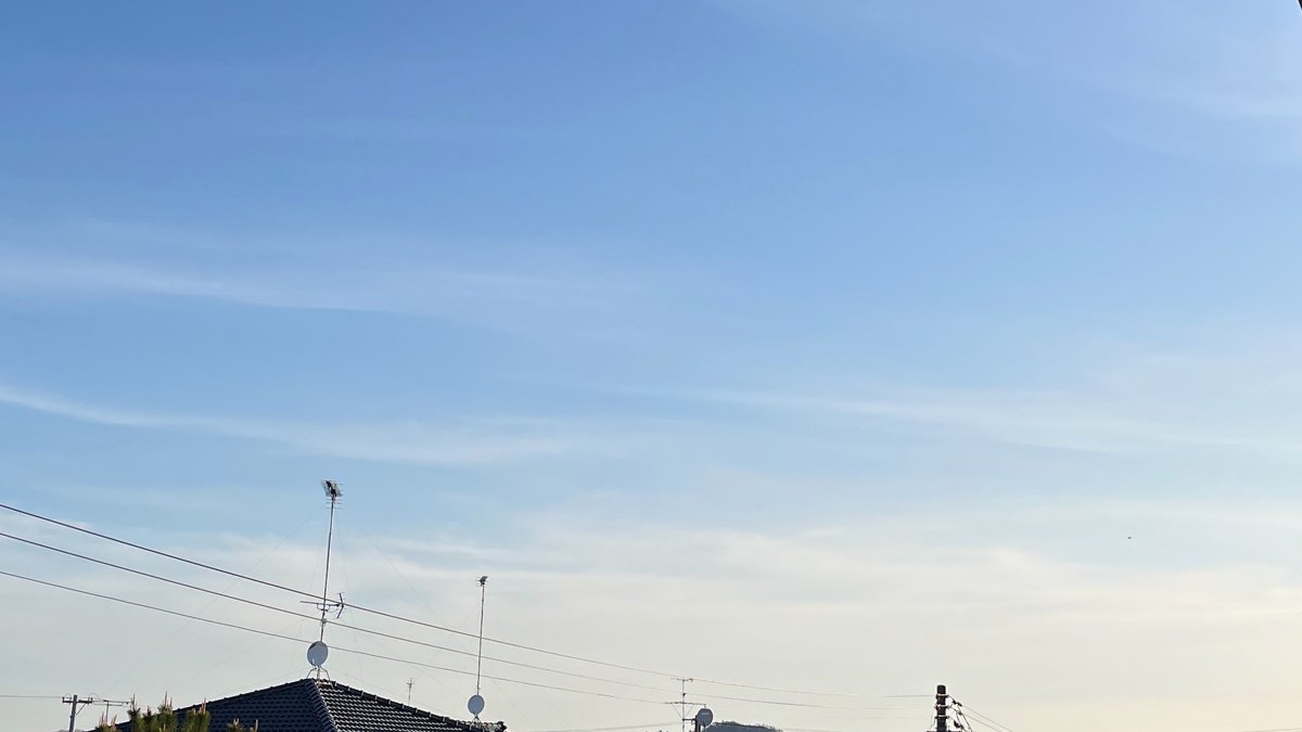 睦月@⛺️&☕️&🎣＆🛠 tweet media