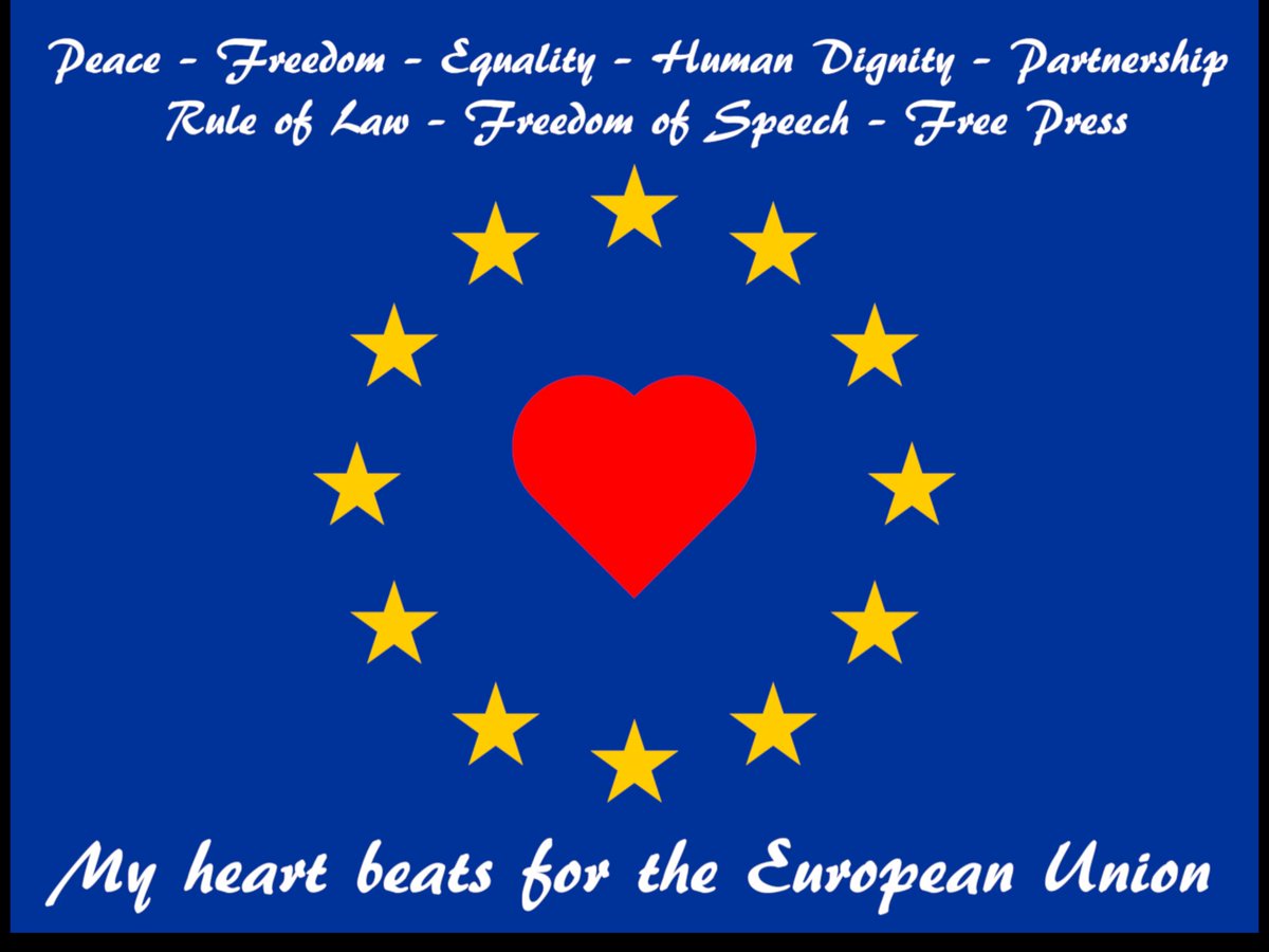 Ulrike Stroemsnes 🇪🇺🇦🇹🇳🇴🇸🇪🇵🇫🇮🇷 tweet media