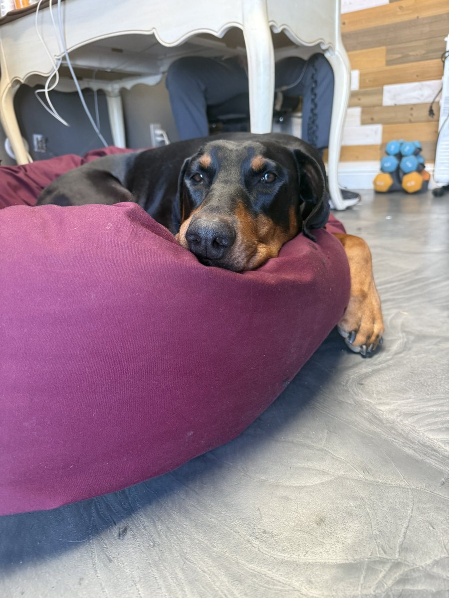 Tony The Longshanks tweet media