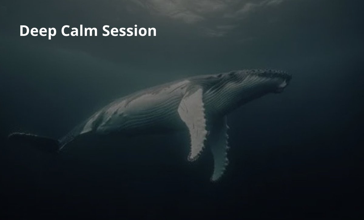 ErwanLeCorre's tweet photo. Most have never experienced REAL deep calm.

For me, it is a state I must enter to hold my breath for up to 8 minutes.

So I created the Deep Calm Session, a focused private session designed to take you deep into CALM.

You'll resurface different.

https://t.co/mIGc2mTxuJ
