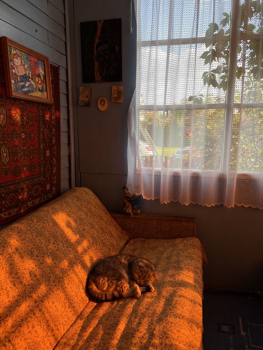 أ. مُحِبّ للجَمال. tweet media