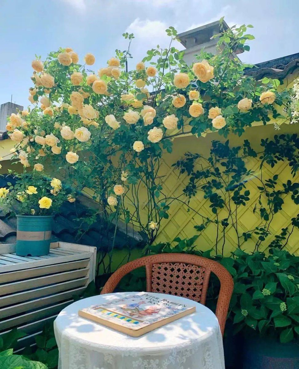 Toni moss tweet media