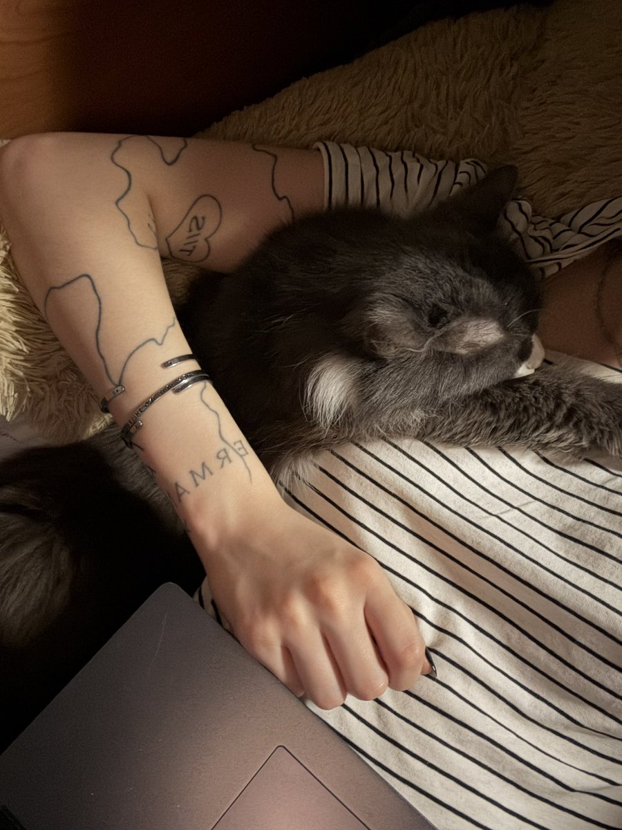 dV| 3 🪭 tweet media