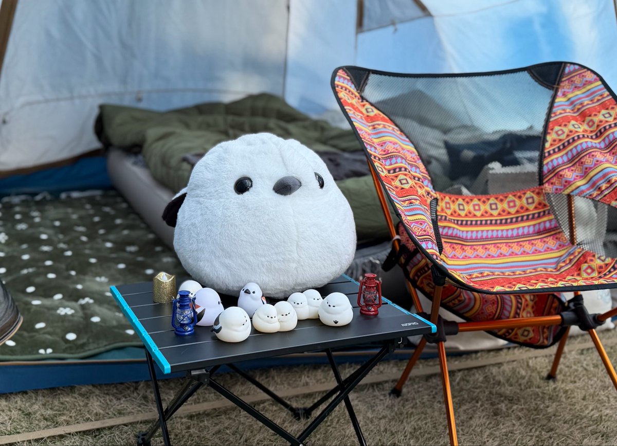 ムク🏕️ tweet media