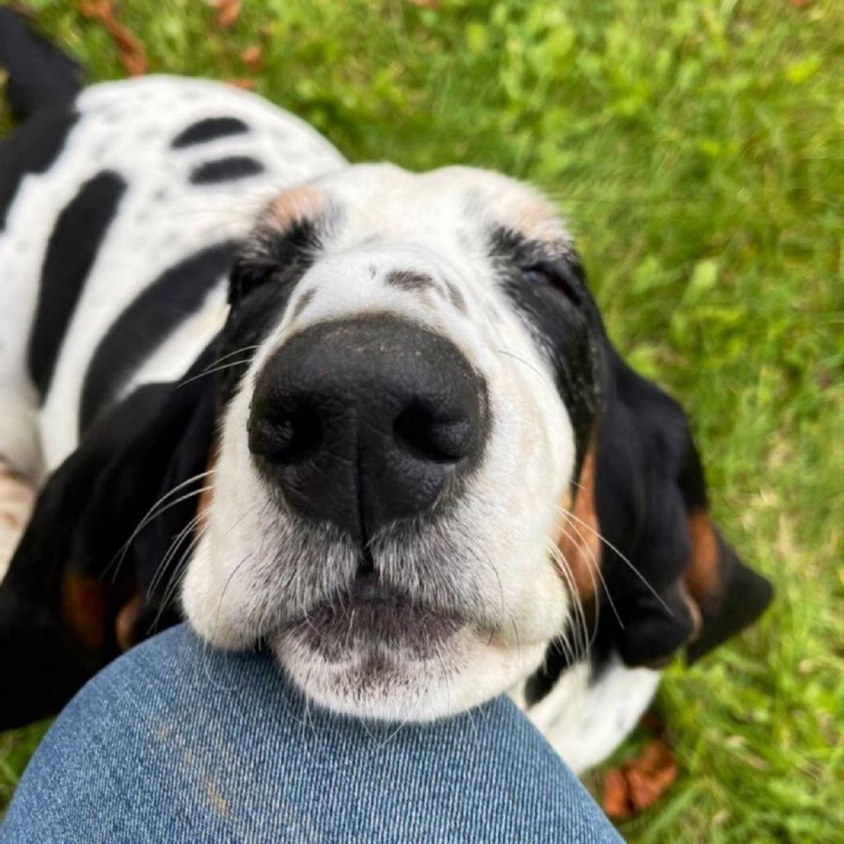 Phil Sledge tweet media