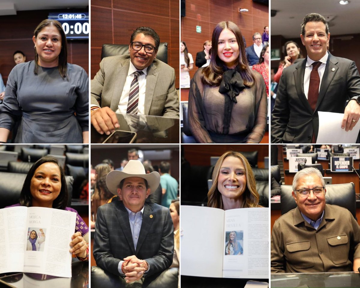 Senadores Morena tweet media