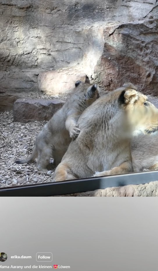 profitable tweet media